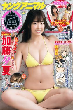 熊出没第一部